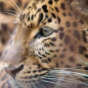 Meet your Posher, Francine